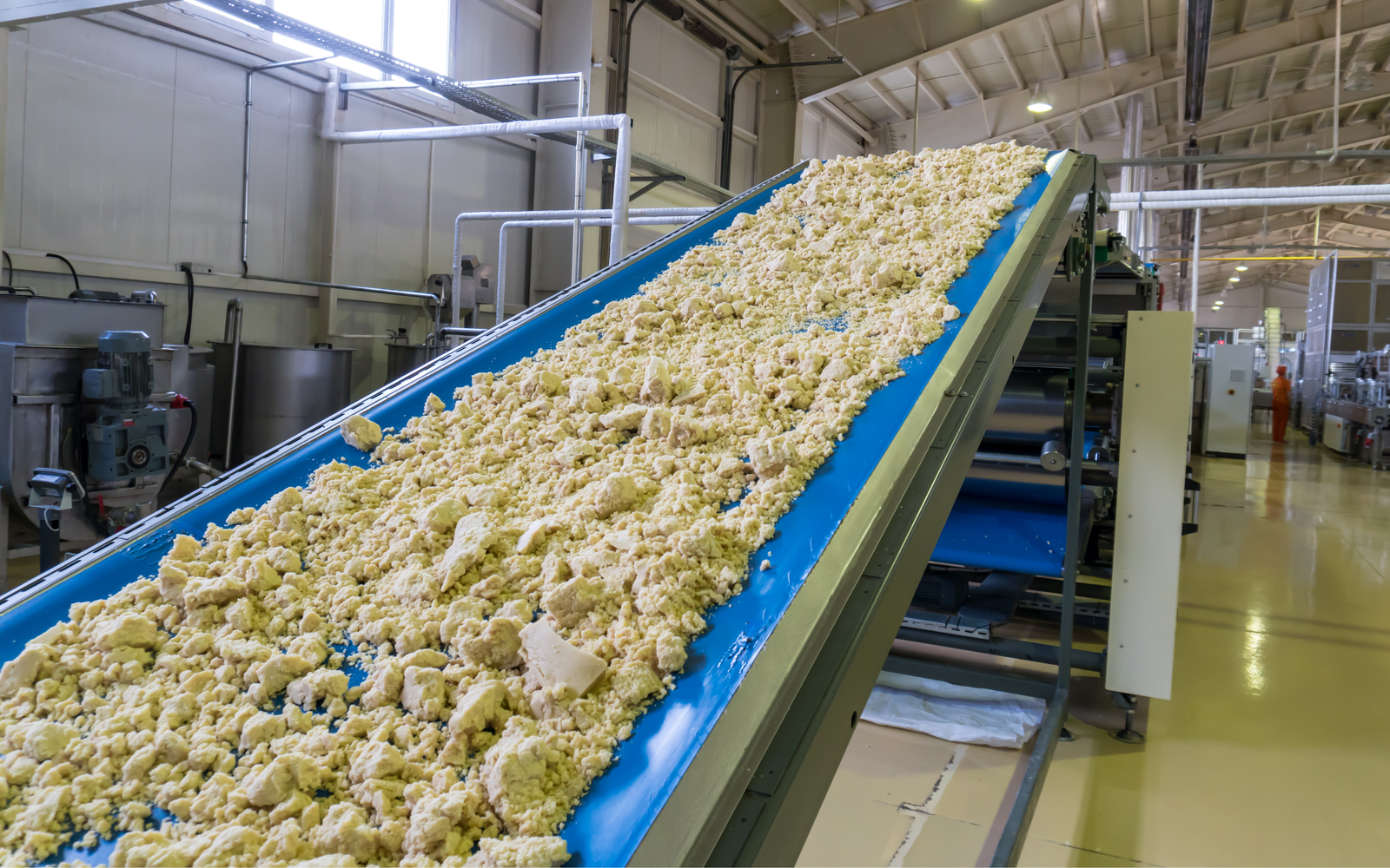 Food industry packaging and conveyor solutions